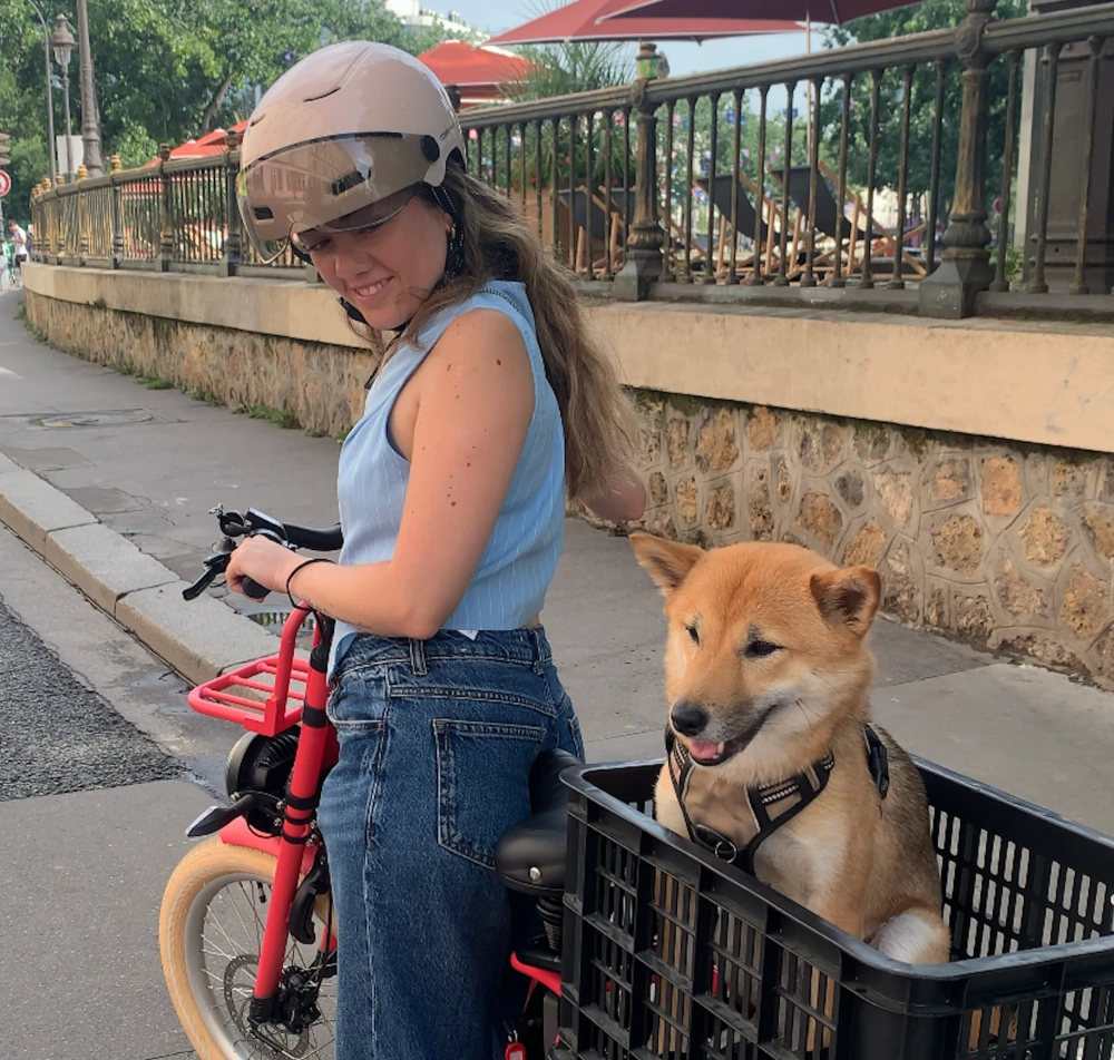 Pourquoi utiliser une caisse avec son vélo cargo ?